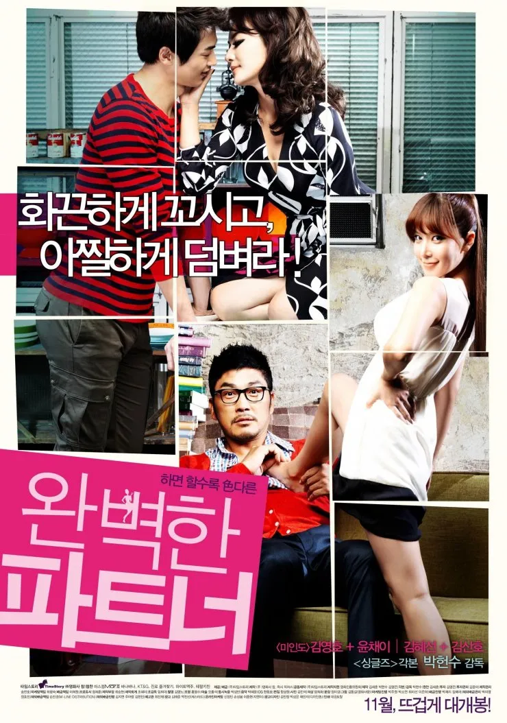 완벽한 파트너 포스터